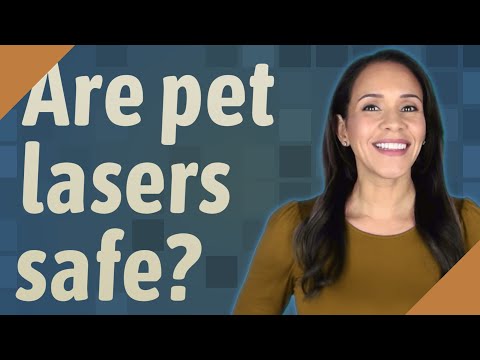 Are pet lasers safe?