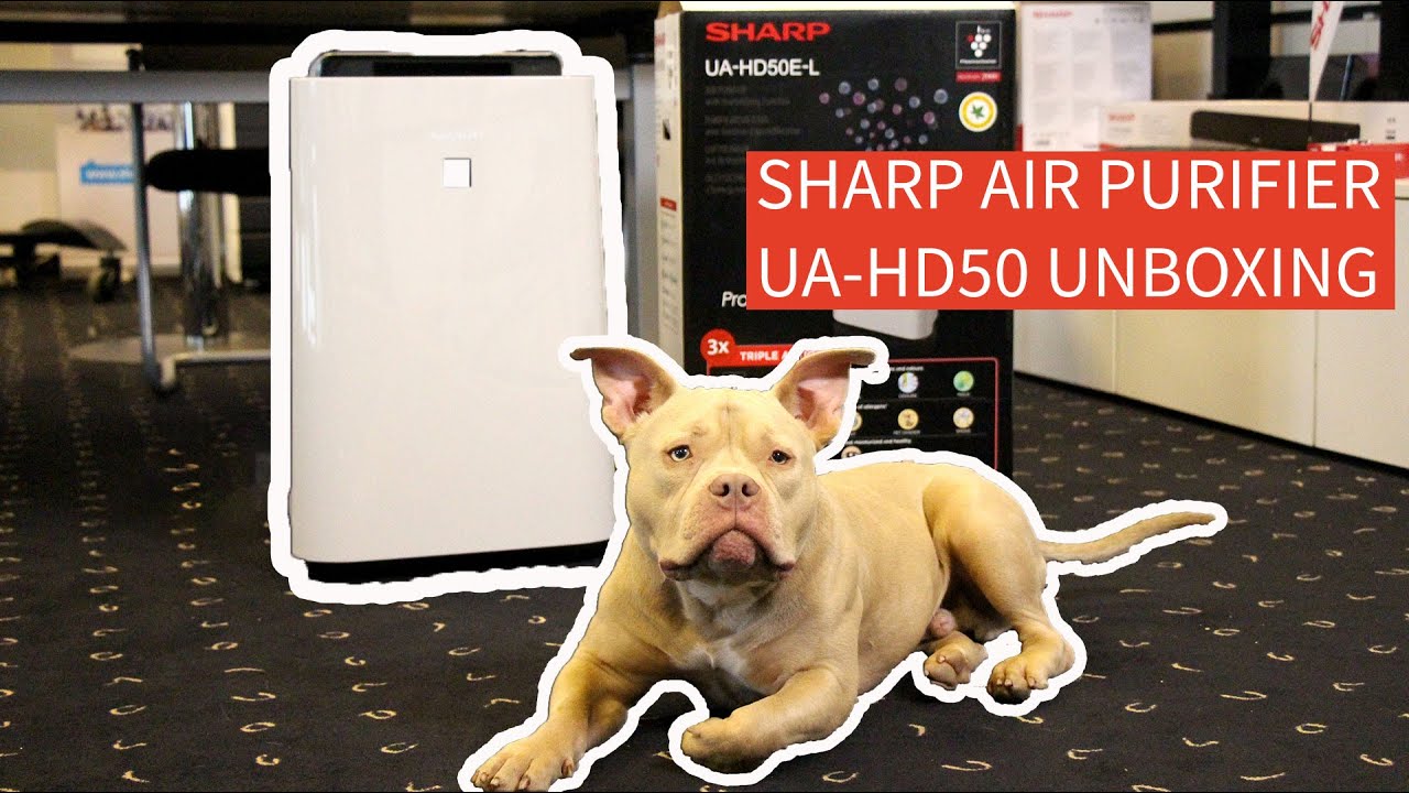 Sharp Purificateur d’air UA-HD50E-L 38 m²