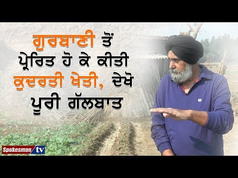 ਗੁਰਬਾਣੀ ਤੋਂ ਪ੍ਰੇਰਿਤ ਹੋ ਕੇ ਕੀਤੀ ਕੁਦਰਤੀ ਖੇਤੀ, ਦੇਖੋ ਪੂਰੀ ਗੱਲਬਾਤ