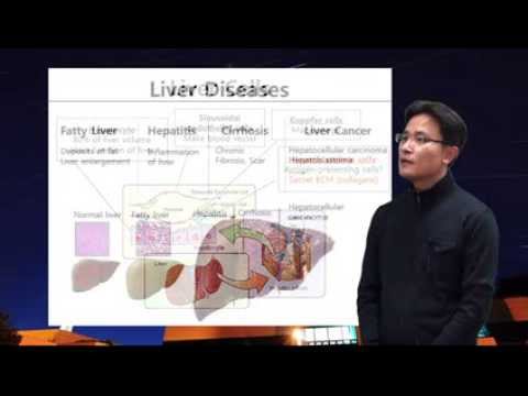 セミナーシリーズ】免疫応答を標的とした慢性肝疾患の治療、導入 ([Seminar Series] Treatment of chronic liver disease targeting immune responses, introduction)