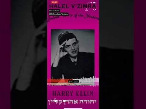 Cantor Ari Klein: Av Harachamim