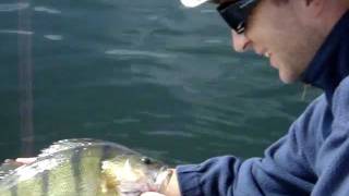 preview picture of video '43 er Barsch/Perch/Bass aus dem Schweriner See auf Lucky Craft Flat CB D20'