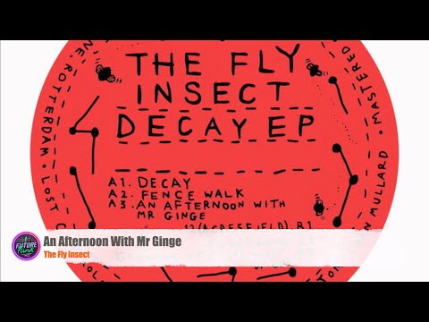 The Fly Insect - An Afternoon With Mr Ginge [Lost Control 2097]