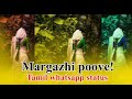 Margazhi Poove Margazhi Poove Song Whatsapp Status