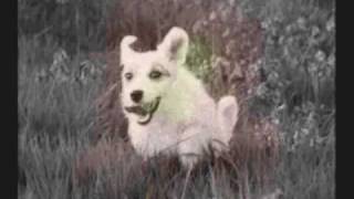 Whitesnake Got What You Need