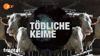 Video-Thumbnail von YouTube