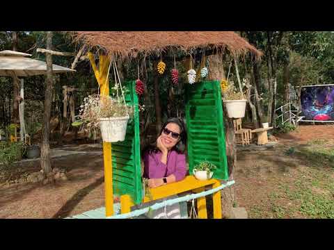 Sương đêm phố nhớ Sheet - Lệ Hồng