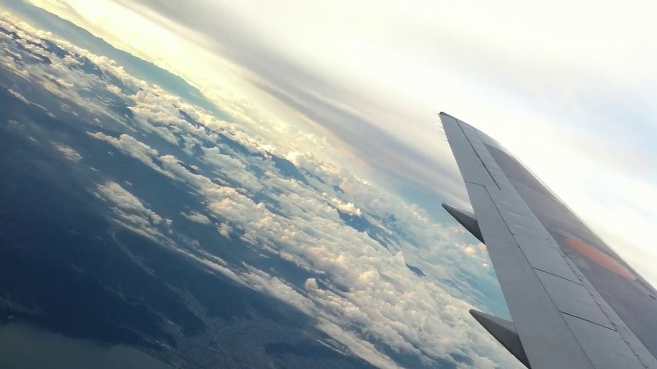 All Nippon Airways ANA Signet