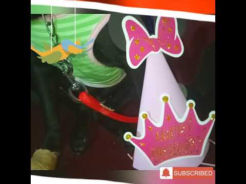 Nahla's Birthday Celebration