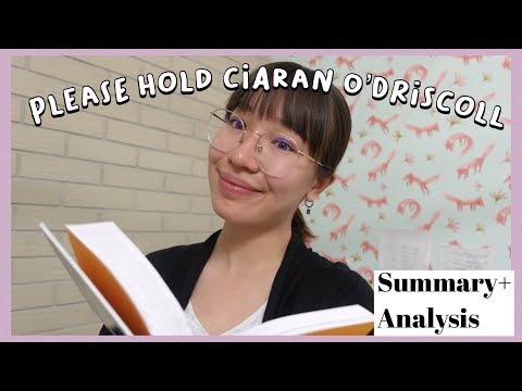 Please Hold by Ciaran O'Driscoll. Summary and Analysis. Edexcel A Level English Literature