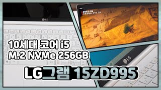 LG전자 2020 그램15 15ZD995-VX50K (SSD 256GB)_동영상_이미지