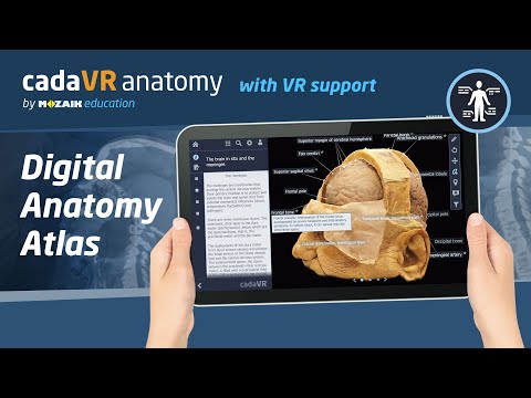 cadaVR anatomy Video