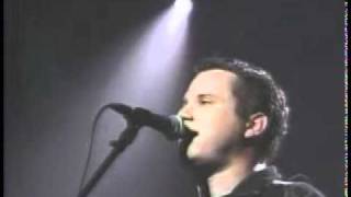 The Spoils of the Spoiled - The New Amsterdams (From The Late Show)