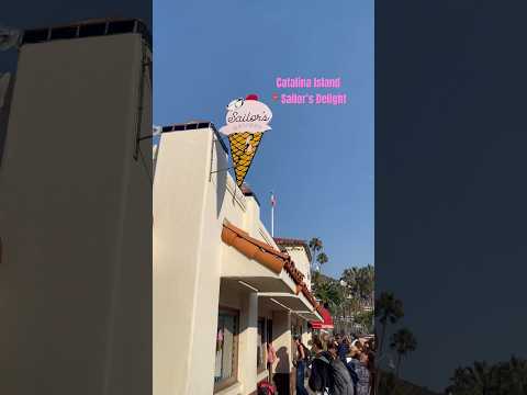 The best ice cream #shorts #icecream #catalinaisland #catalina #thingstodo #wheretoeat #fyp #foodie