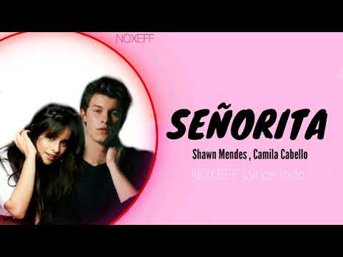 Shawn Mendes , Camila Cabelo Señorita lyrics