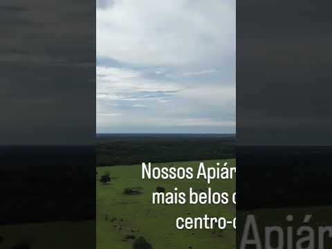 uma bela vista do nosso Mato Grosso do Sul