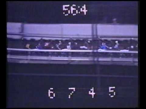 Statue of Liberty Trot 1985 - Meadow Road / Torbjörn Jansson