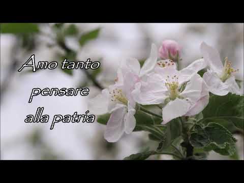 AMO TANTO PENSARE ALLA PATRIA ( Inno n° 105 - W.B. Bradbury ) - Chiesa Evangelica Modena