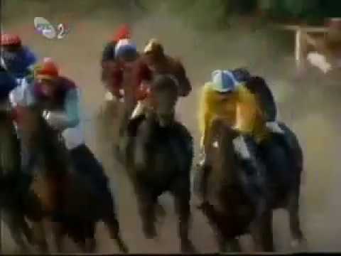Jugoslovenski Galopski Derbi 1996 - Lydhurst