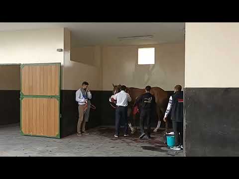 32nd race meeting-Trailer| HE SHEIKH Joaan bin Hamad Al thani Rifle DAY |FULL VIDEO TRAILER