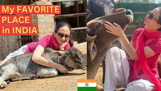 My FAVORITE Place in INDIA 🇮🇳 🥰