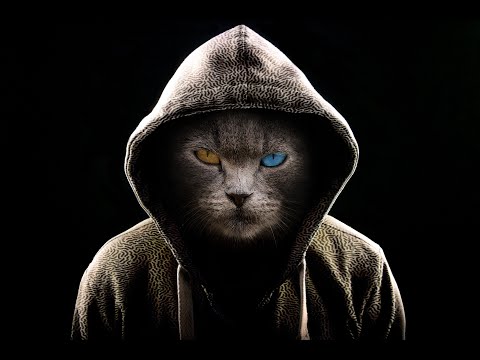 Afro House Mix 2021 ft. Black Coffee | Da Capo | Kasango | Zakes Bantwini | Mixed By Popkorn