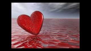 Cengiz Kurtoğlu-Bizim Şarkımız ŞİİRLİ Avrupa baskısı Design Selçuk YILMAZ.avi