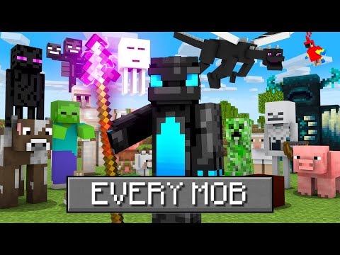 I Killed EVERY Mob with the SPEAR in Minecraft Hardcore