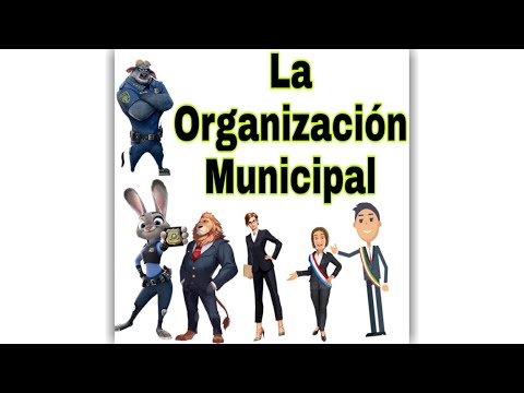 La organización municipal, 2° Grado.