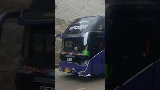 Download lagu XHD PRIME STJ Aransha  #stj #sr2xhd #bus #huntingbus mp3 Download lagu XHD PRIME STJ Aransha  #stj #sr2xhd #bus #huntingbus mp3