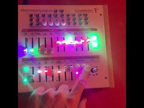 Rare Retrogradus Chorus 1a - Custom One of a Kind image 11