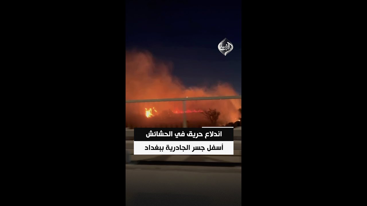 فيديو | اندلاع حريق في الحشائش أسفل جسر الجادرية ببغداد