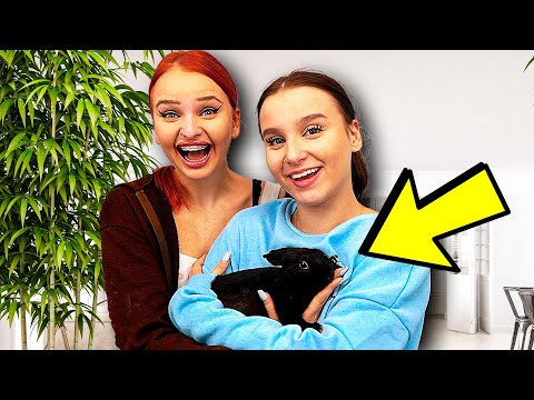 Mein neues Haustier! 😳(Familie weiss es nicht ) - Celina