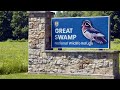Treasures of New Jersey: The Great Swamp