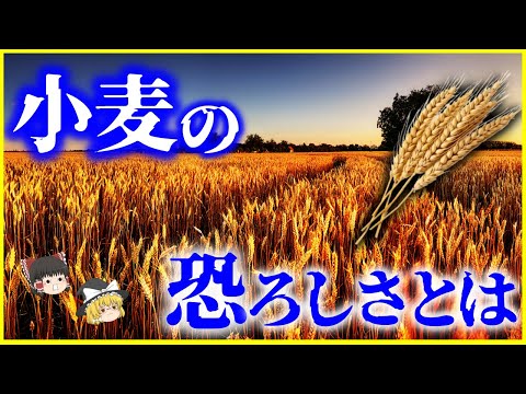 マルボルゲについて詳しく解説