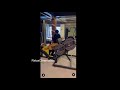 Priya Bhavani Shankar Hot Workout