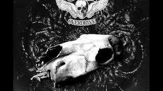 J. D. Overdrive - Beware the Boozehound (audio)