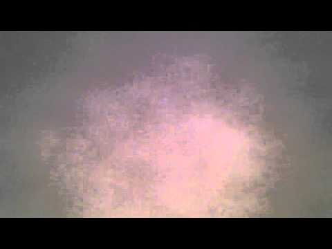 Podvod + Frankie dlouhán -Nedvědi