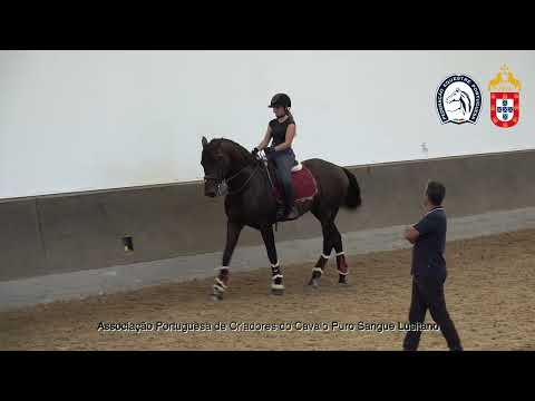 230626 4 Proj Ensino APSL&FEP - Leonor Mota Pereira com Ormuz II