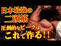 【日本最強の二頭筋】圧倒的なピークを作り出す極意。