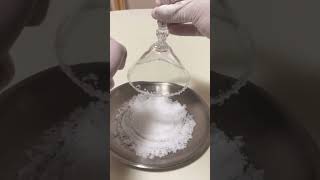 #마가리타 #조주기능사실기 #Margarita #자격증 #recipe #cocktail #bartender #소통 #일상 #shorts