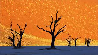 Orchestra of Spheres - Koudede