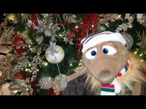 Thumbnail for It's a Cunard Queen Anne Christmas Special 🎅 Coming Soon.