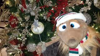 It's a Cunard Queen Anne Christmas Special 🎅 Coming Soon.