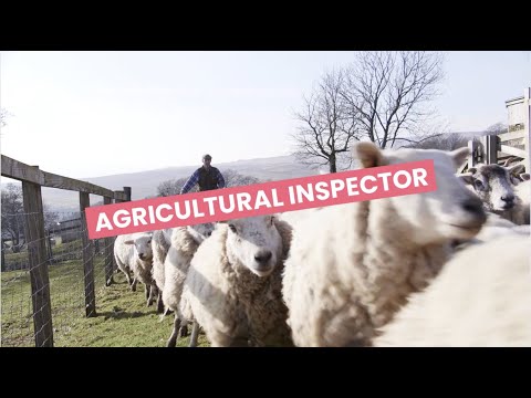 Agricultural inspector video 1