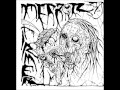 Terror Firmer Point Of No Return