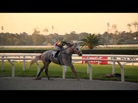 230514 c09 - RAY HOLLANDPOS - HIPODROMO DE MARONAS