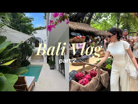 Last Video in 2024, Hi Again Bali Part 2! | Gisusu, Le Cliff, La Brisa Sunday Market