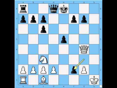 Zanimljiv  napad - FALZMANN vs NEUMANN - Igra cetiri Skakaca # 406