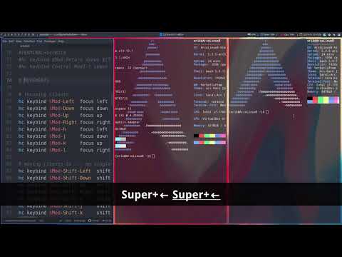ArcoLinux 1109 : Hlwm config : focusing clients